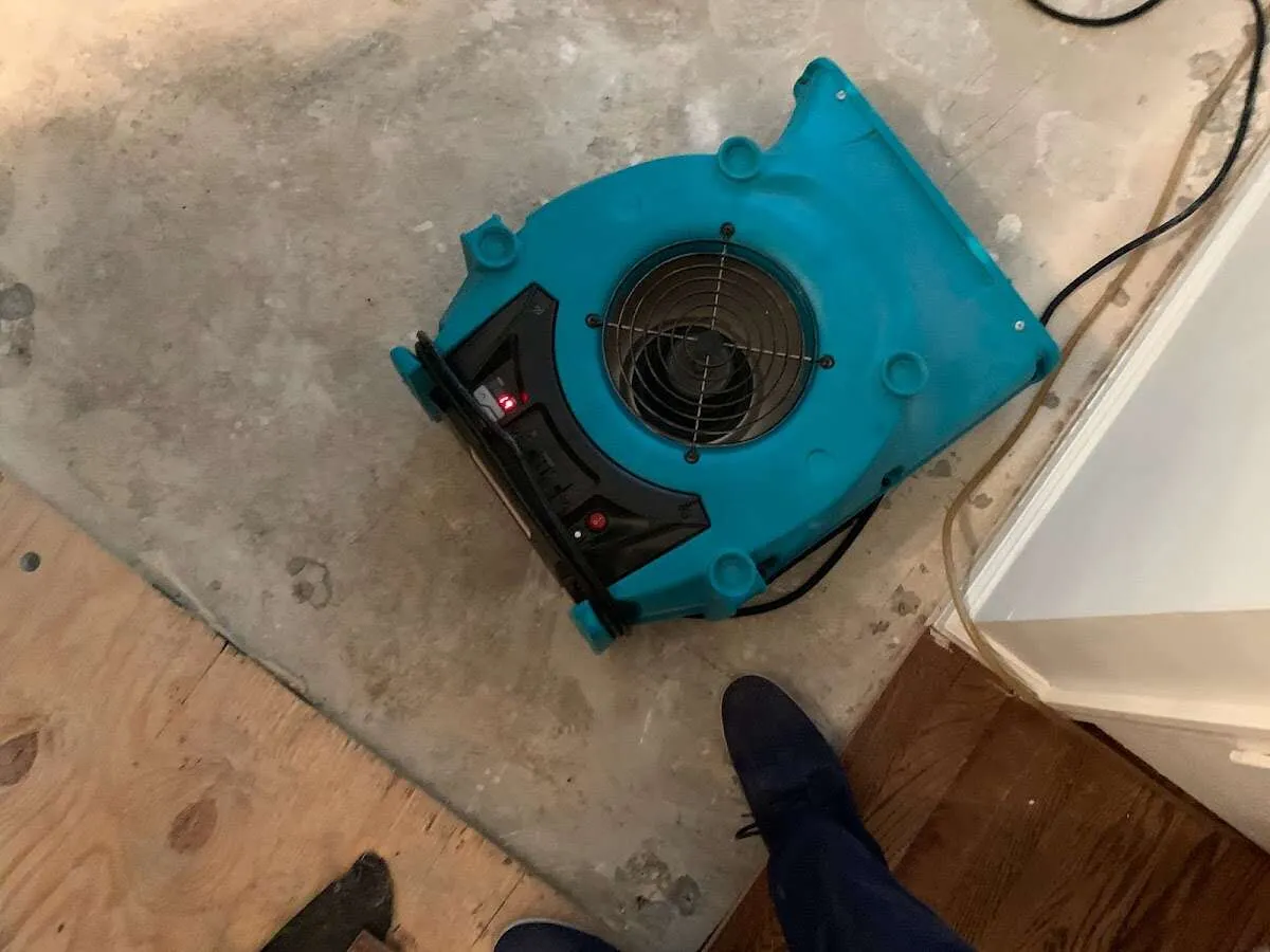 Air mover drying subfloor during Commercial Water Damage Restoration in Marina